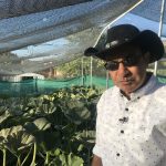 Mohamed Sadiq, a Layton neurologist, said growing large pumpkins and gardening help him decompress from the stress of his job.
