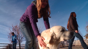 The Herbst family raises "Amazing Golden" service dogs, which they gift to families in need. 