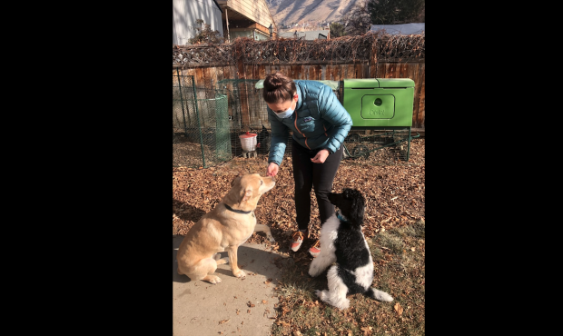 Jessica Preece, a professor in Provo, got a new puppy and chickens as consolation prizes in a rough...
