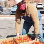 Kyle Wilson with Farmers Feeding Utah loading tomatoes. (Utah Farm Bureau)