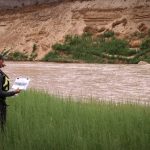 Mike DeHoff studies the Colorado River. (KSL TV)