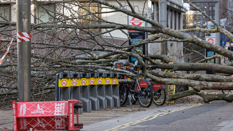 A fallen tree is seen close to Waterloo Station on February 18, 2022 in London, England. The Met Of...
