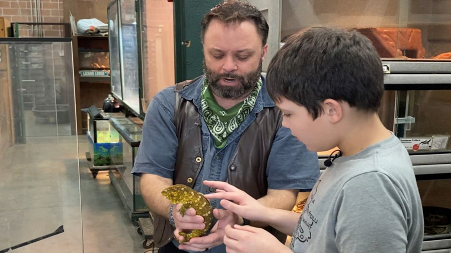 Carter loved holding the reptiles at Scales and Tales in West Valley City. (KSL TV)...