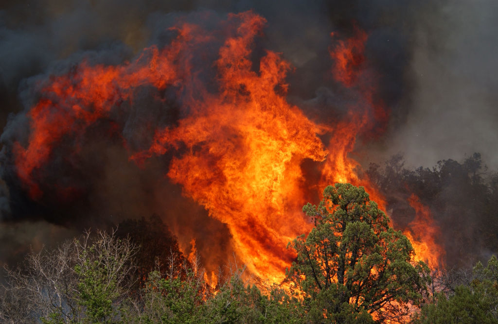 CIBECUE, AZ - JUNE 28:  Flames of the Rodeo/Chediski fire consumes the forest June 28, 2002 on the ...