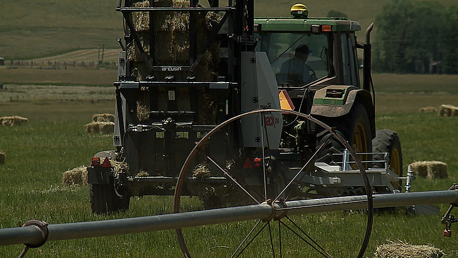 The McFarland family farm in Weber County is dealing with rising costs for fuel, chemicals and mate...