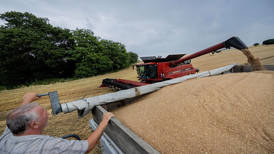 PUSZTAMAROT, HUNGARY - JULY 07: A combine harvester transfers the wheat to trucks at the end of har...