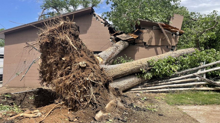 A tree fell on this home after Monday night's storm in Springville. (KSL TV)...