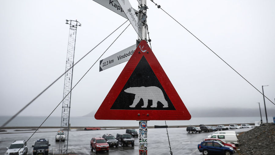 FILE: A sign warns of the danger of polar bears near the airport close to a campground where a man ...