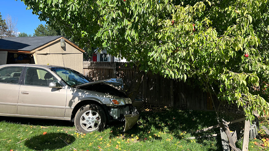 The crashed car into the West Jordan family backyard. (Courtesy: Belen Giarrusso)...