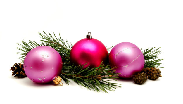 Christmas decoration lilac magenta balls with fir cones and fir tree branches isolated on a white background