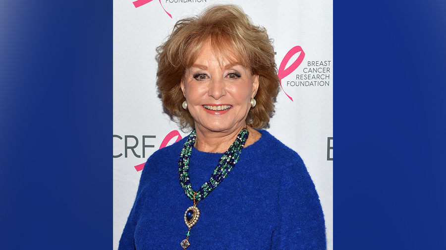 Barbara Walters attends The Breast Cancer Research Foundation's Symposium & Awards Luncheon at The ...
