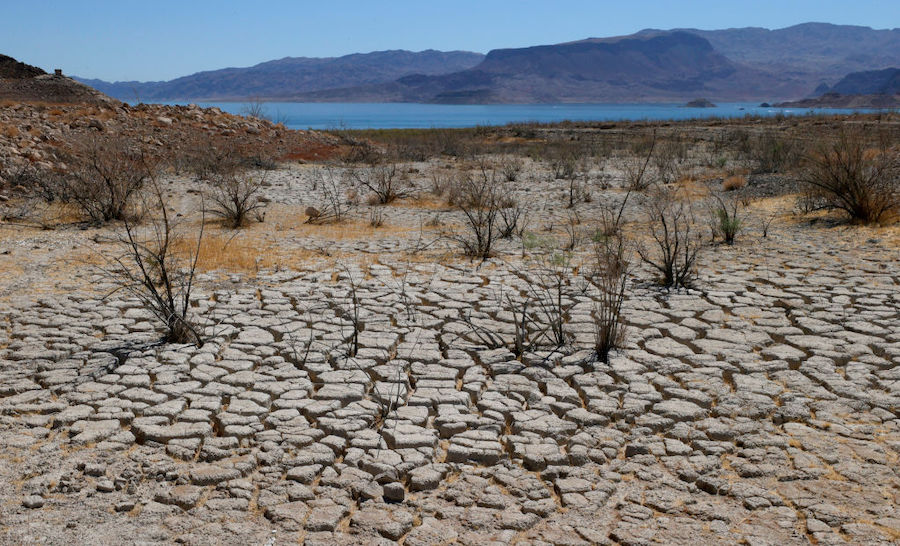 FILE: Lake Mead is seen in the distance behind mostly dead plants in an area of dry, cracked earth ...