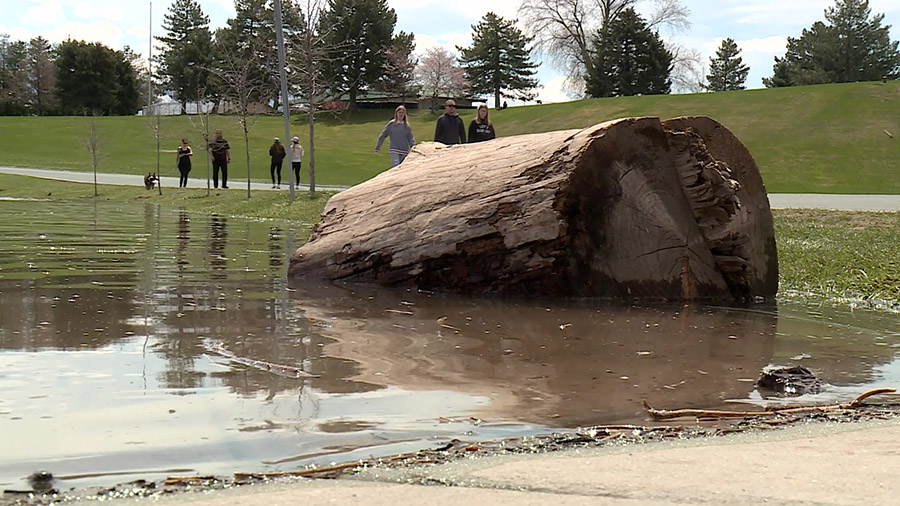 Water levels of the Sugar House Park pond rise due to continued spring runoff. (KSLTV)...