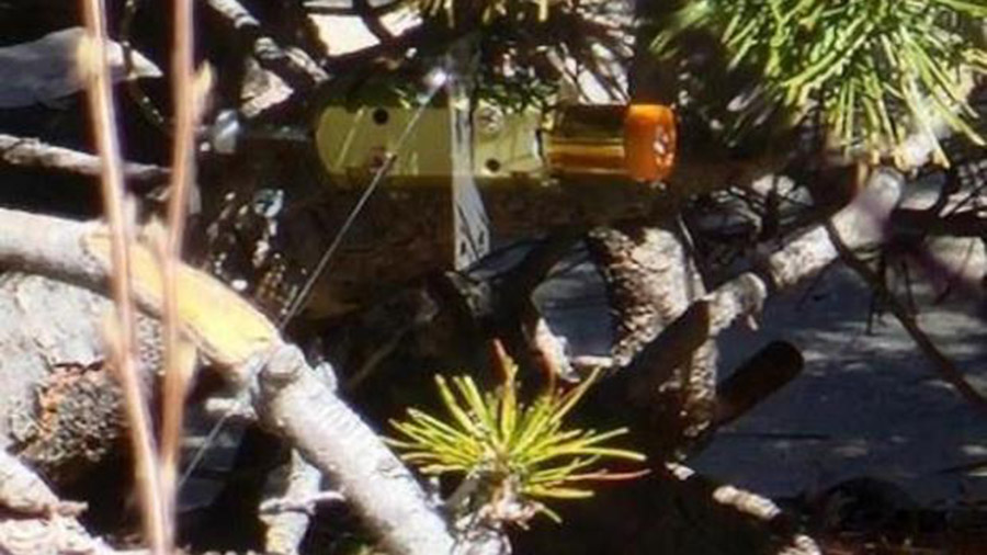 A portion of the "booby trap" device hidden in bushes and connected to the walkway wire, as shown i...